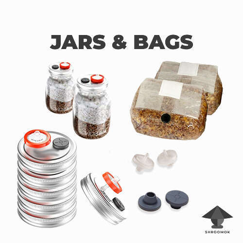 DIY spawn jars and spawn bags