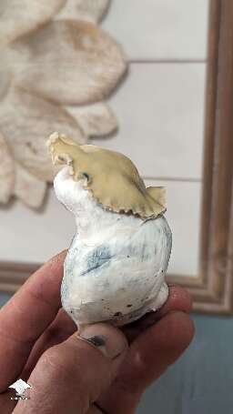 Harvested Bluey Vuitton mushrooms #3