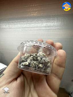 3 months later and we’ve got magic truffles #2