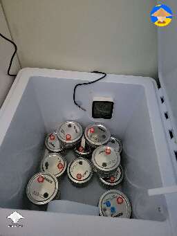 My incubation chamber went through 2 evolutions today - details in description #2