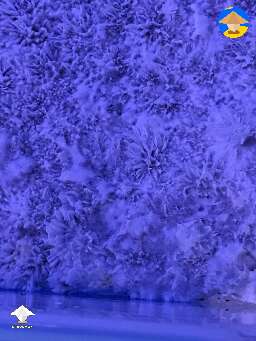  Looks like fluffy or stroma. Am I being impatient? #2