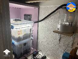 Automated mushroom growing setup