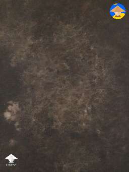 Do u think thats cobweb mold? I hope its clear but its dark in my room