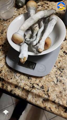 These caps and stems were fat as hell this time