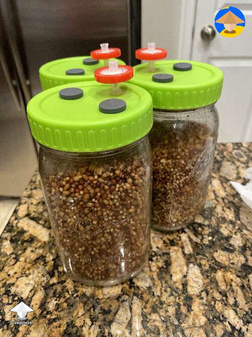 Grain jars with modified lids