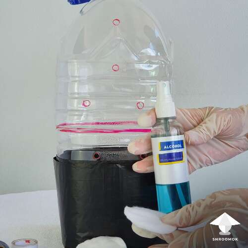 Bottle disinfection for mushroom growing