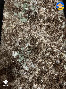 Contamination?