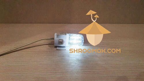 LED lamp for growing box