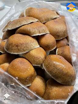 Hillbilly magic mushrooms - Bag Tek growing #3