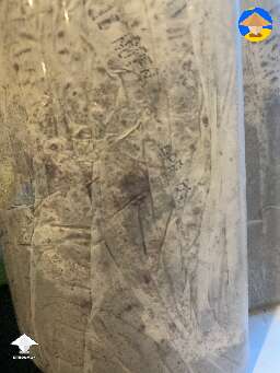 Dark red purple contamination inside Nutcracker mushroom cake and pins popping up