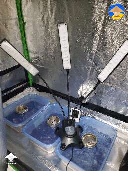 My grow tent setup for mushrooms so far - more in description #4