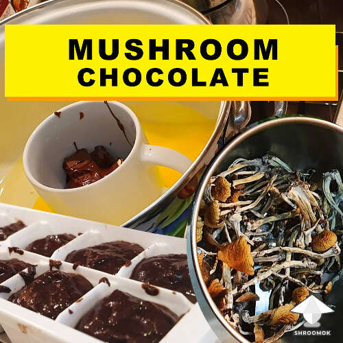 Magic mushroom chocolate