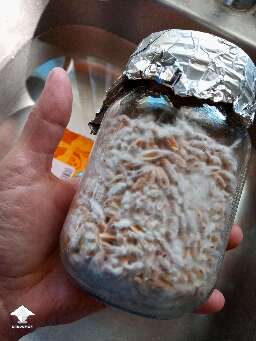 Look at this cool spawn jar