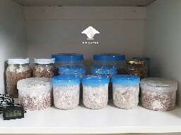 Spawn jars storage