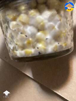 Day 7 jar tek with popcorn coffee and a pinch of gypsum