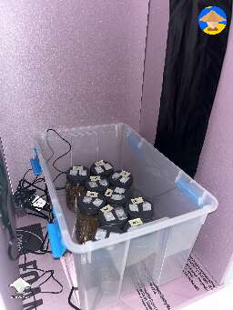 I just inoculated my first grow today