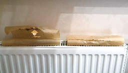 Drying psilocybe mushrooms on radiator