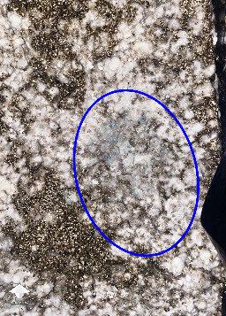 Mycelium bruising