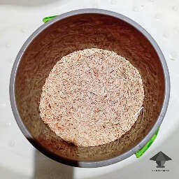 Rye grass seeds for magic truffles