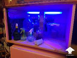 Diy automatic mycology incubator