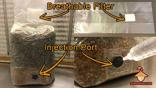 Mushroom bag with air filter and inoculation port