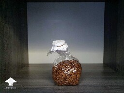 Grain bag after inoculation - dark place, room temperature for colonization - Day-to-day Reishi growing diary