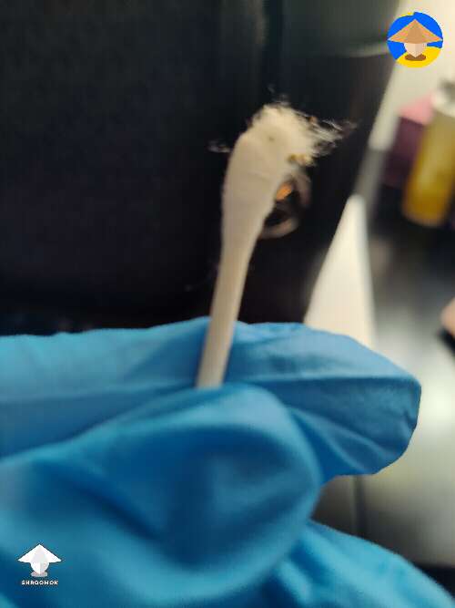 Qtip test. I rubbed in three different places nothing came off