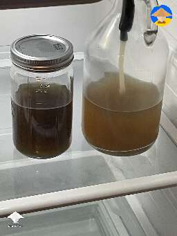 The left - moon juice. The right - daily micro dose juice