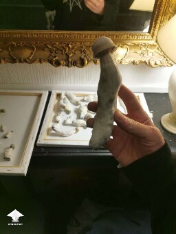 APE mushrooms - first flush ever #2