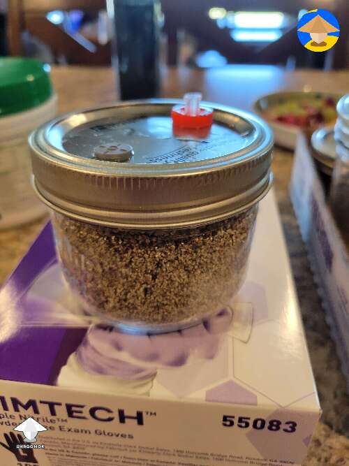 Wrong filters for grain jars or temperature influence - more in comments #2