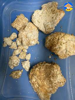 separated dry healthy mycelium from wet contaminated parts then mixed dry with bulk substrate #2