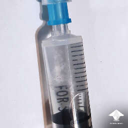 How to store spore syringe