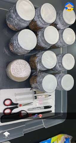 What a beautiful day to inoculate