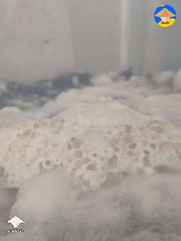 Look at what happened to my tubs. Contam?