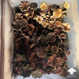 Spores on mushrooms - not contam - late harvest