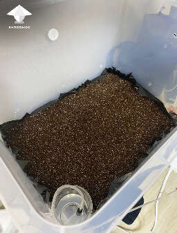 Monotub growbox for mushrooms with air pump