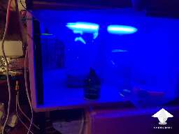 How to build automatic incubator for mushroom cultivation