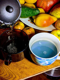 Psilocybin magic mushroom tea