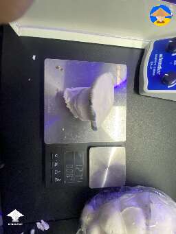 Gorilla Wizard back in the 100 club! 127 grams